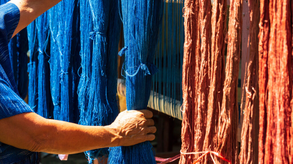 Crafts And Craftsmanship. Traditional Isan Thai Cotton Indigo Weaving. The Hand Holding The Indigo Dyeing Cloth And Natural Dyes Or Bark. Thailand. Selective Focus. Traditional Isan Thai Cotton Indigo Weaving. The Hand Holding The Indigo Dyeing Cloth And Natural Dyes Or Bark.
